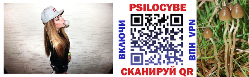 Галлюциногенные грибы Magic Shrooms  Купить  Киренск 