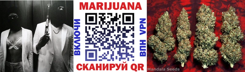 Купить закладки  Киренск  Канабис сатива 